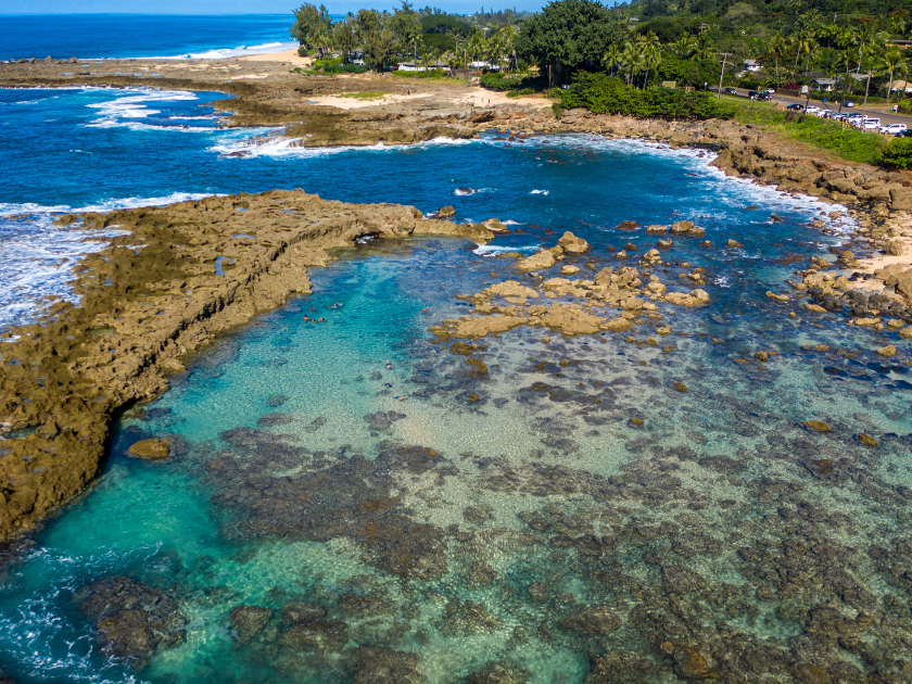 Aerial view of shark's cove