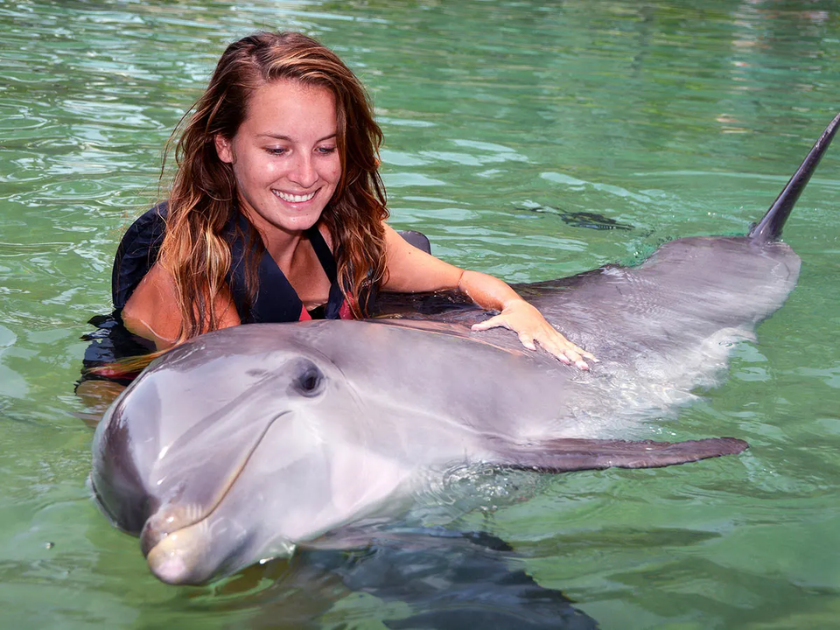 Dolphin Quest Oahu - Private Dolphin Swim Experiences at Kahala Hotel