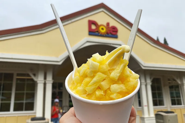 Pineapple Treats at Dole Plantation