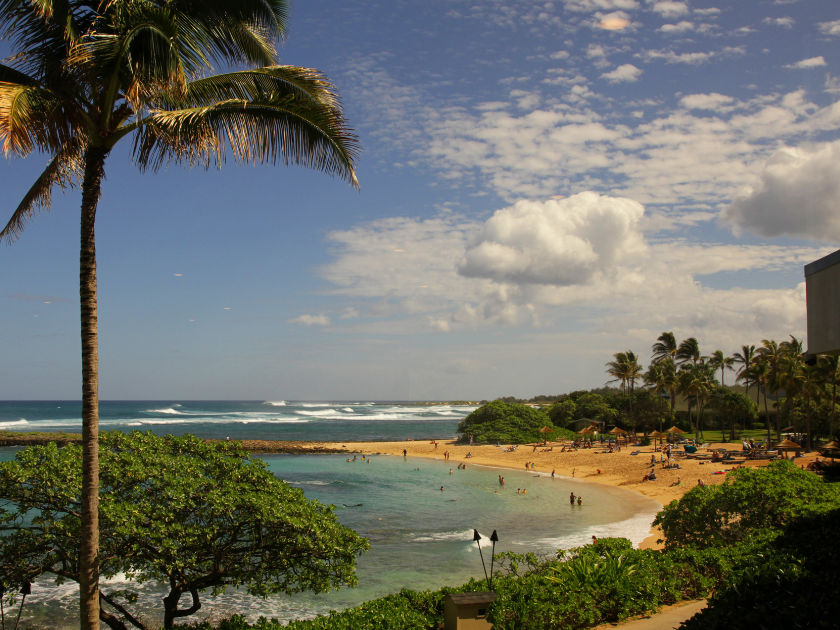 Turtle Bay Hawaii