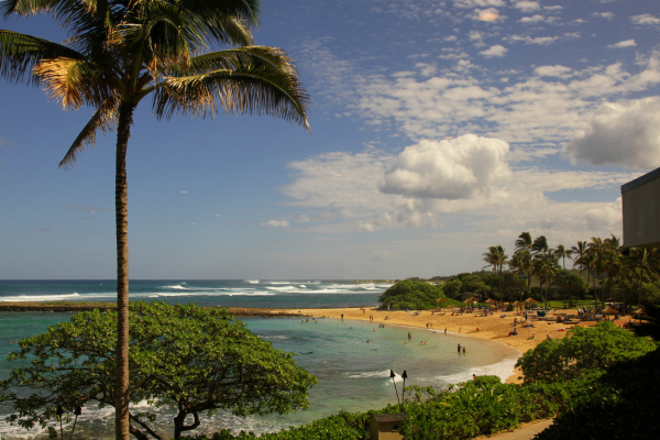 Turtle Bay Hawaii