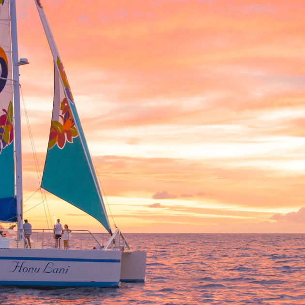 Sunset Dinner & Fireworks Booze Cruise - Honu Lani Catamaran
