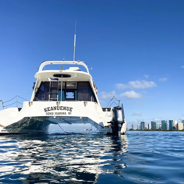 Turtle Snorkeling on a Private Catamaran - Hawaii Ocean Charters