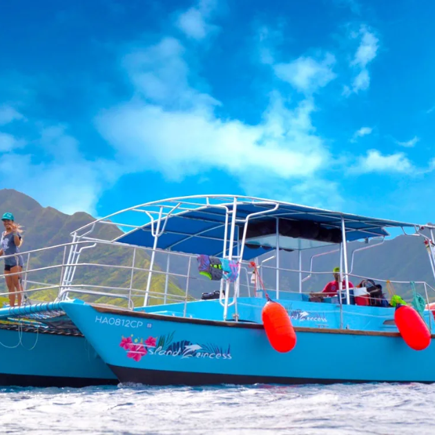 Waikiki Turtle Canyon Snorkel Cruise - Iruka Hawaii