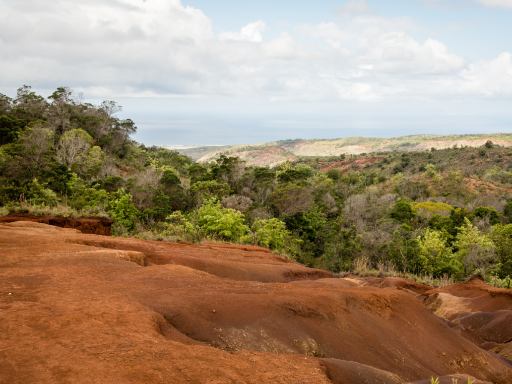 Waimea Valley State Park on Kauai Hawaii