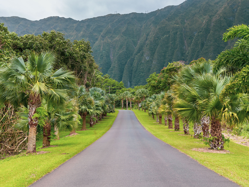 Hoomaluhia Botanical Garden Hawaii