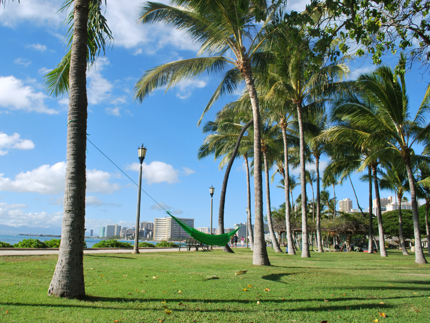 Queen Kapiolani Park in Oahu, Hawaii