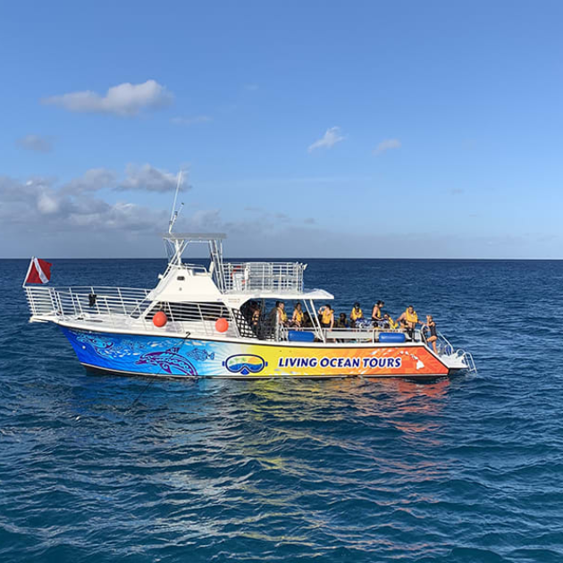 Turtle Canyon Snorkeling Cruise - Living Ocean Tours