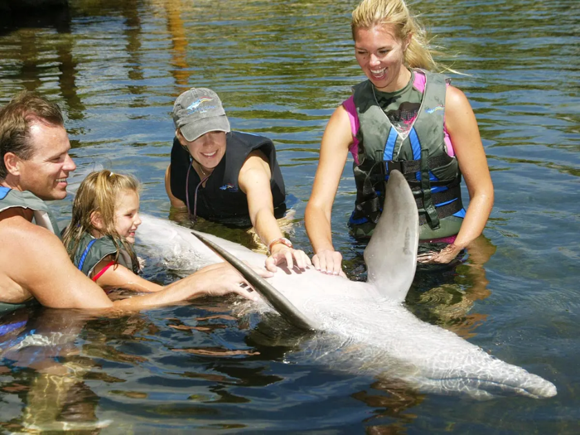 Dolphin Quest Oahu - Private Dolphin Swim Experiences at Kahala Hotel