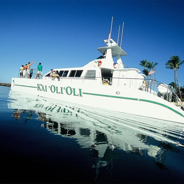 Ocean Joy Oahu Snorkel Tour with Lunch, Drinks & Dolphin Watching