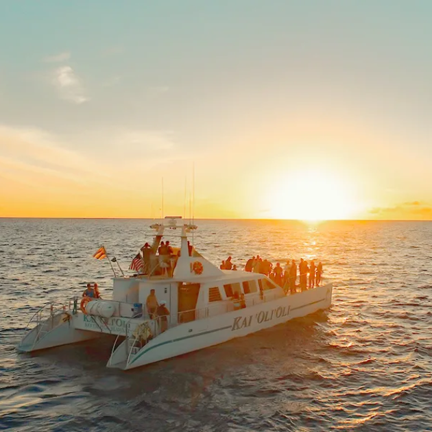 Ko Olina Snorkel & Sunset Dinner Cruise - Ocean Joy Catamaran