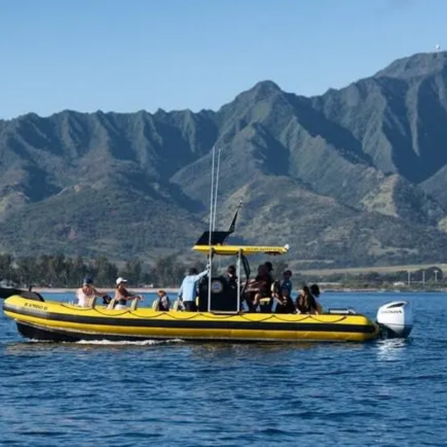 North Shore Snorkeling from Haleiwa - Ocean Outfitters Hawaii