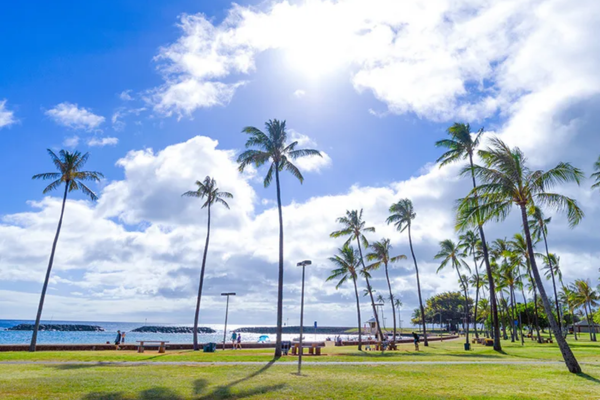 Beach of Honolulu