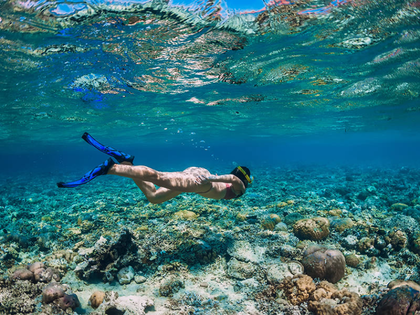 Snorkeling at Electric Beach