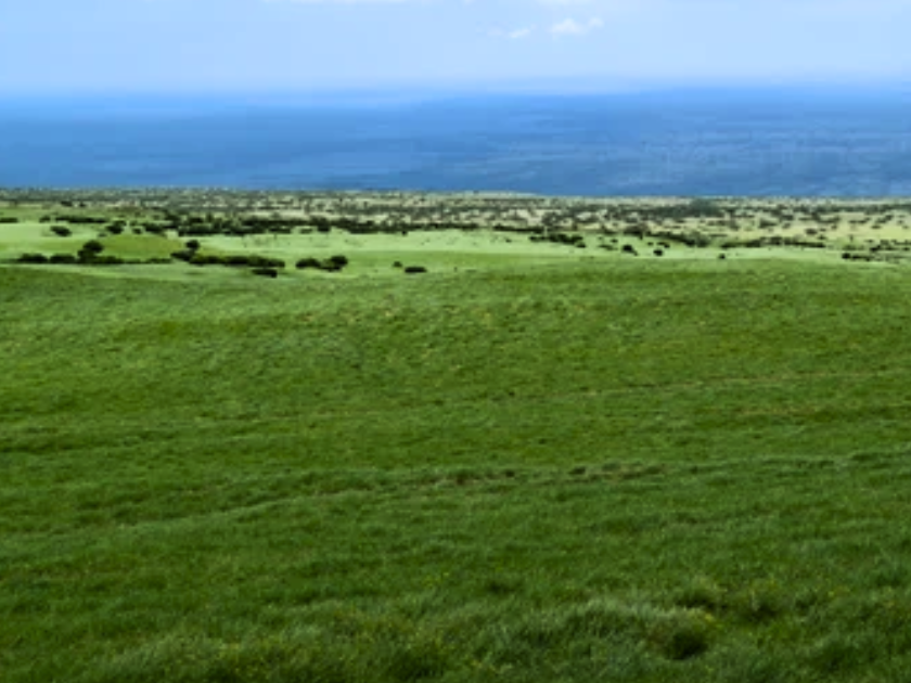 Parker Ranch Hawaii