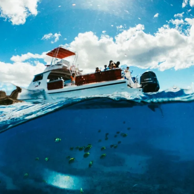 Snorkeling Cruise featuring Underwater Scooter - Trident Adventures