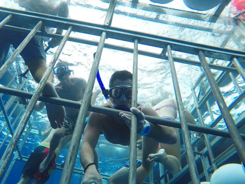 group of friends inside the cage