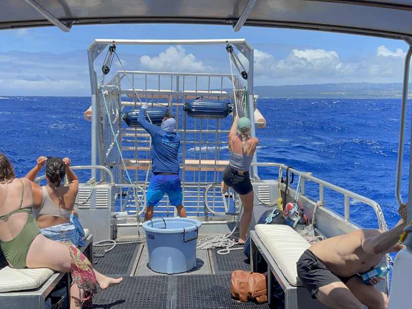 Passengers on the boat during the shark cage diving