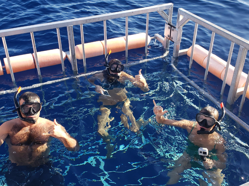 Divers ready for their shark adventure