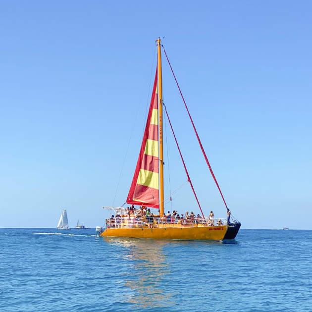 Na Hoku III Waikiki Snorkel with Turtles Cruise