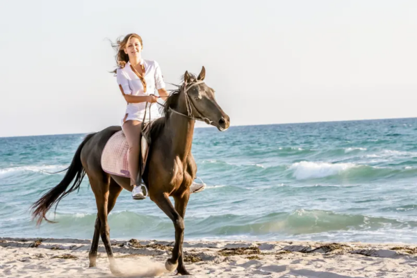 Horseback Riding along the beach of North Shore