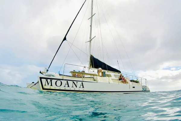 Waikiki Swim with Turtles Tour - Moana Catamaran Best Honolulu Snorkeling Cruise