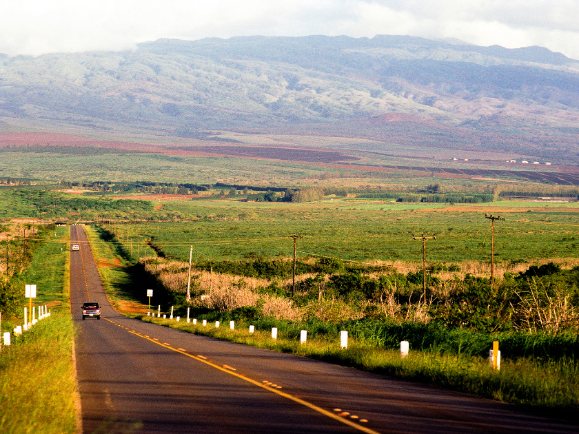 USA Hawaii Molokai, rural highway.