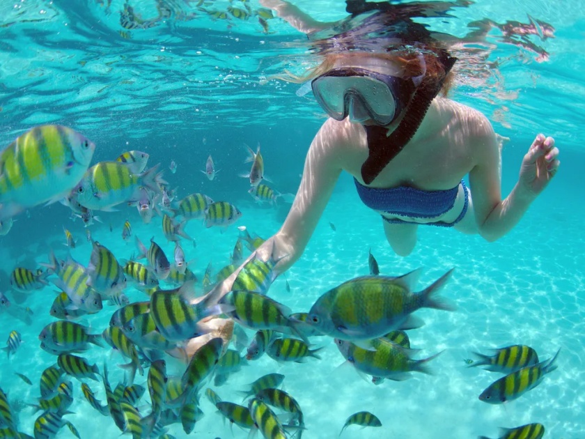 Snorkeling with fishes