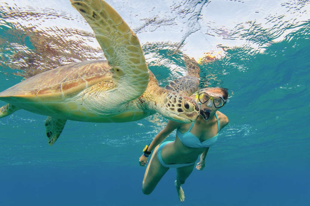 Snorkeling with turtles