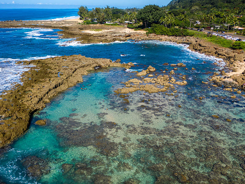 Shark's Cove