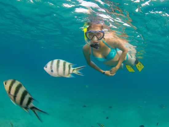 snorkeling with fishes