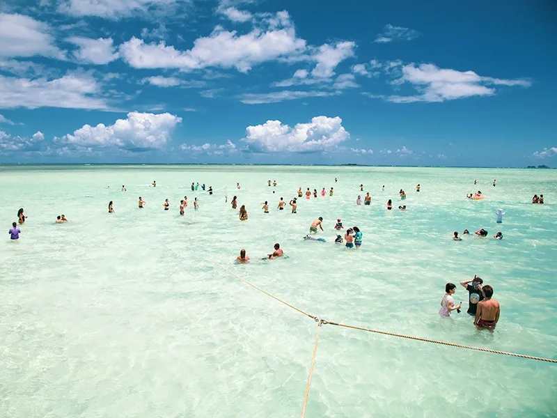 All Hawaii Cruises
