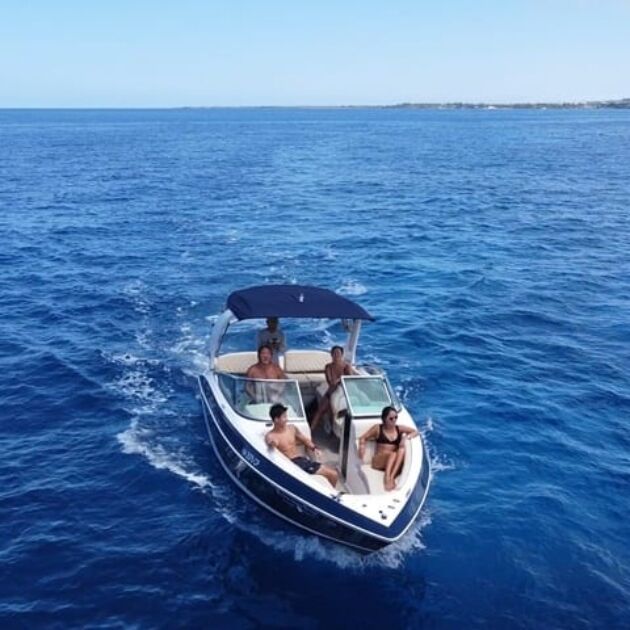 Private Whale Watching Cruise - Aloha Kona Tours [Jan-Mar]