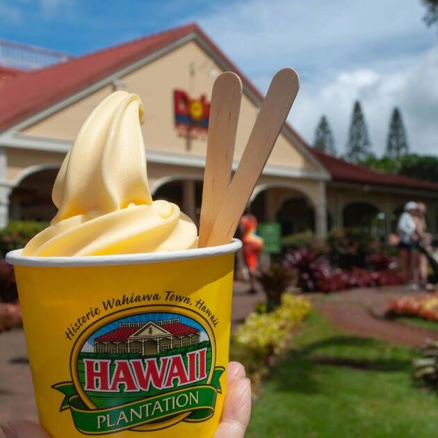 Dole Pineapple Plantation