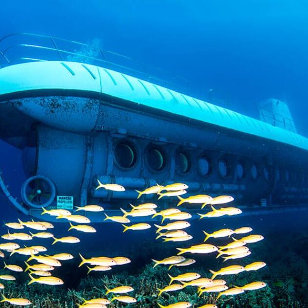 Waikiki Submarine Tour by Atlantis