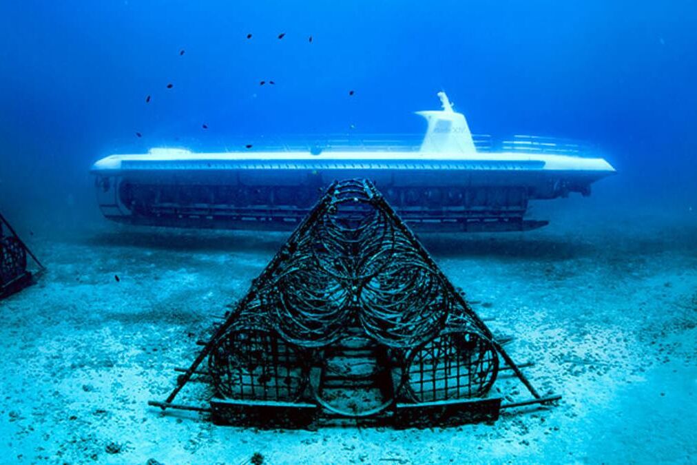 Atlantis Submarine Tour in Waikiki Photo Review 1
