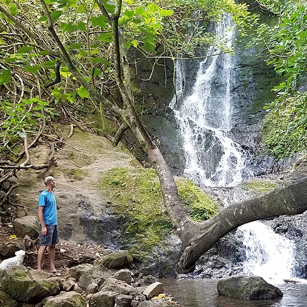 Best Honolulu Waterfalls Hiking Tours with Expert Nature Guide