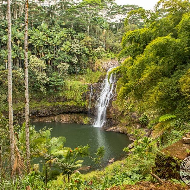 The Ultimate Hawaii Waterfalls Adventure Private Tour