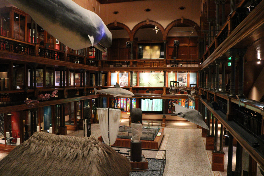 Bishop Museum - Natural Science