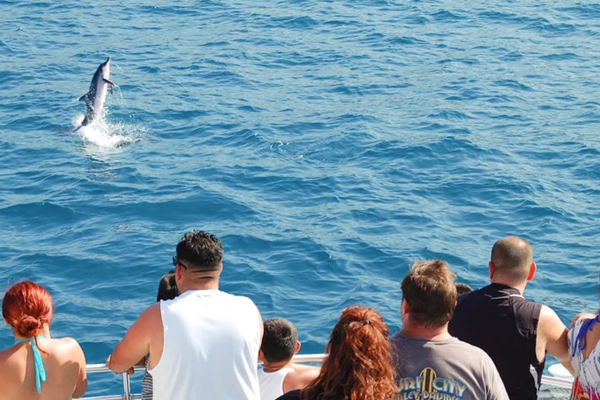 Kona Deluxe Snorkel Tour & Dolphin Watching Tour with Lunch