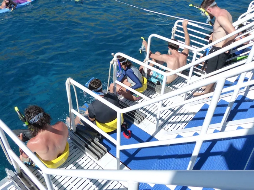 Maui Snorkeling for Kids & Families