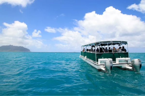 Visitors cruising on Captain Bruce