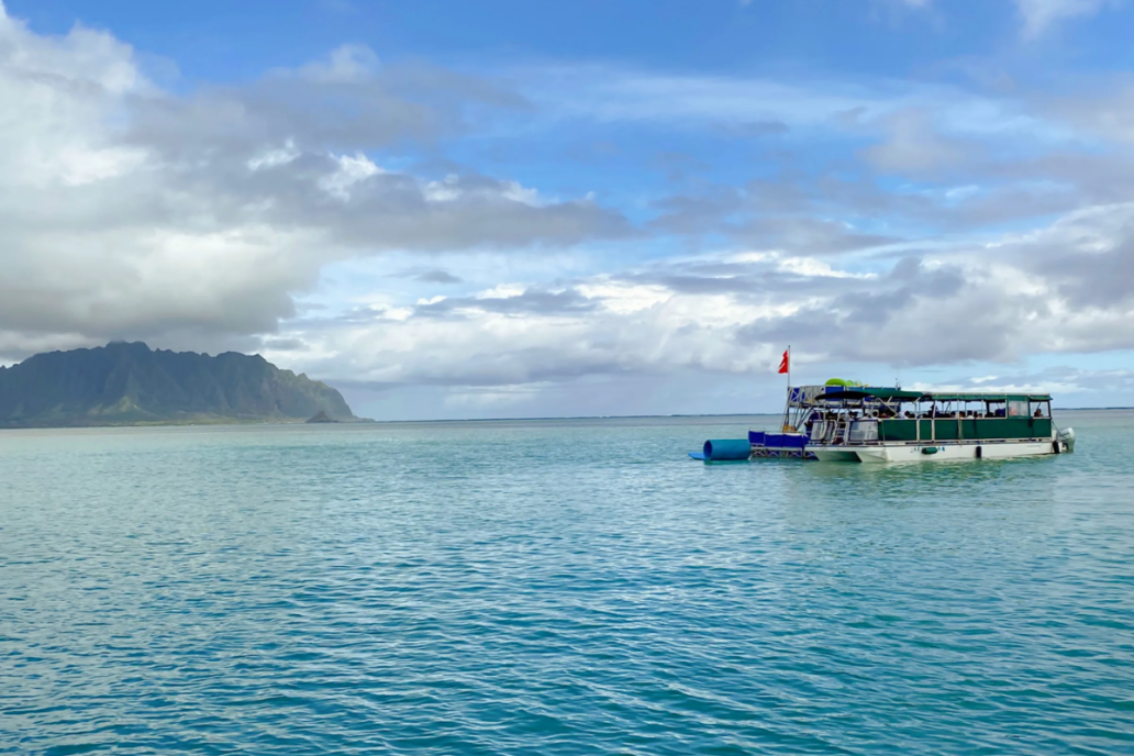 Captain Bruce cruising Kaneohe Bay