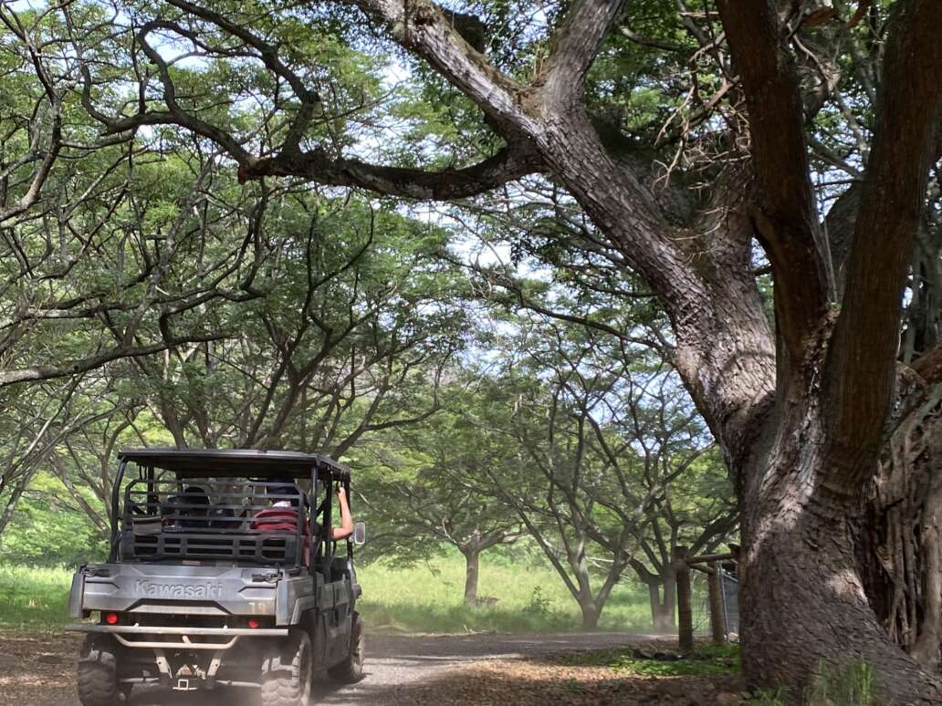 ATV car on Kualoa Ranch road