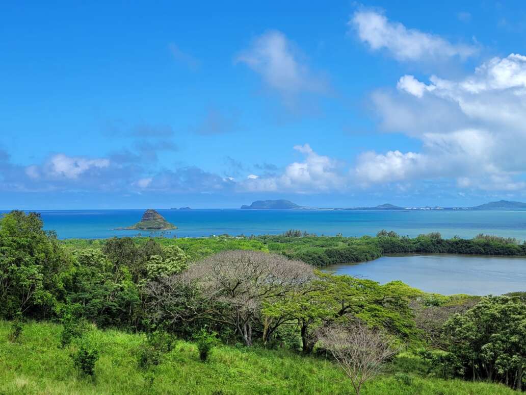 The lush mountains and the vast ocean views at Kualoa Ranch