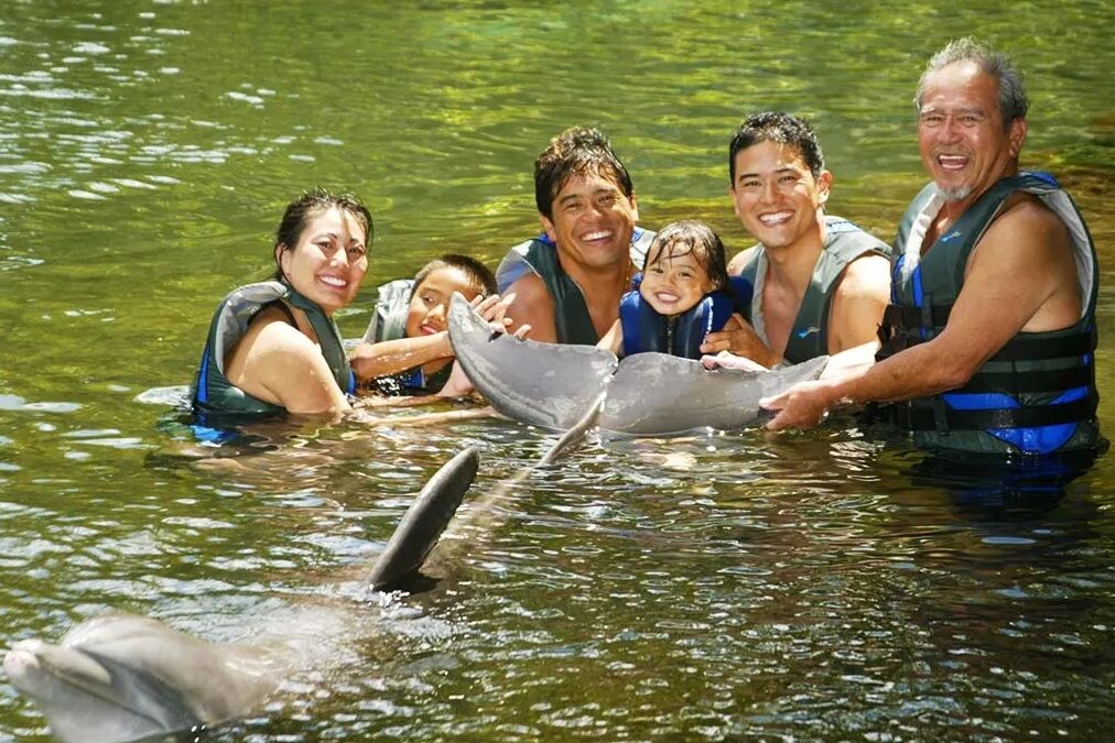 Dolphin Quest - Oahu