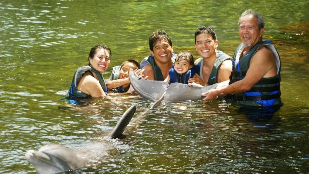 Dolphin Quest - Oahu