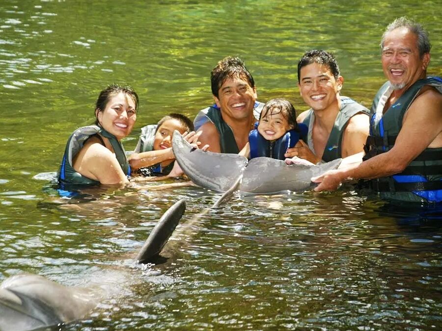 Dolphin Quest - Oahu