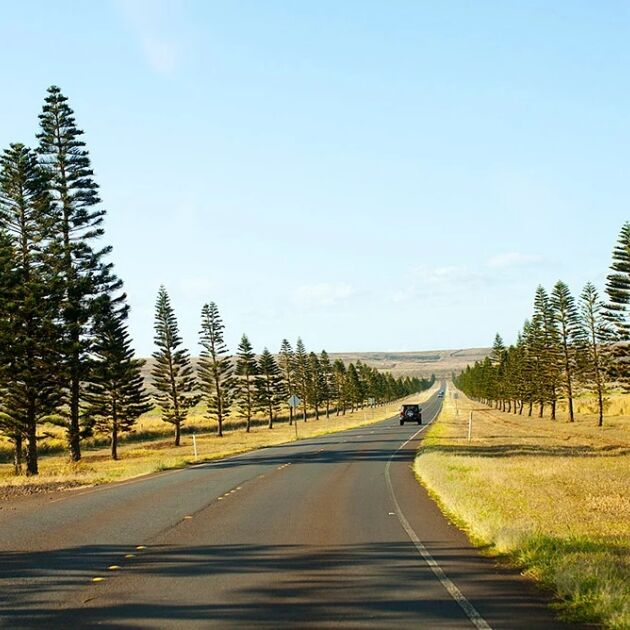 Lanai Island Guided 4x4 SUV Sightseeing Trekker Tour with Maui to Lanai Ferry