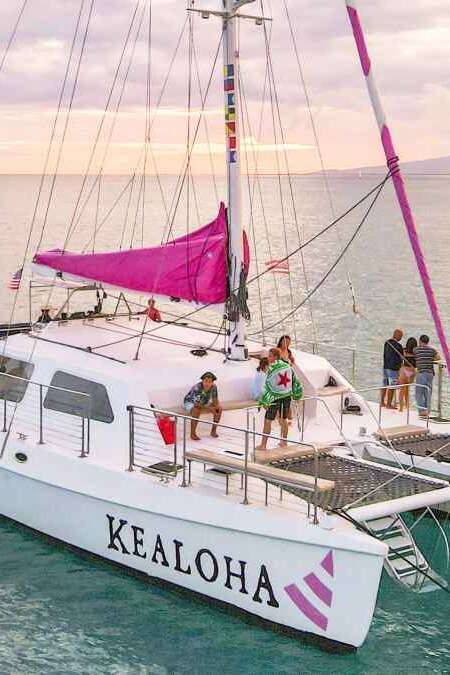 Sunset Cocktail & Ocean Swimming Cruise - Pink Sails Catamaran